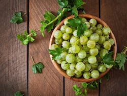 सर्दियों में ठेलों पर 5-10 रूपए में बिकनेवाला यह फल बढ़ाएगा इम्यूनिटी जान ले सेवन का तरीका