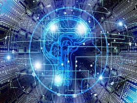Mental Trauma: Understanding Memory's Unusual Pathways