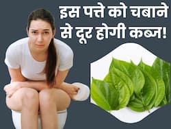 कब्ज से परेशान रात भर पानी में भिगोकर सुबह खाली पेट चबाएं ये पत्ता, सुबह टॉयलेट जाते ही होगा पेट साफ