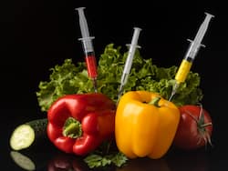 5 Dangerous Food Toxins You Must Avoid For The Sake Of Your Health