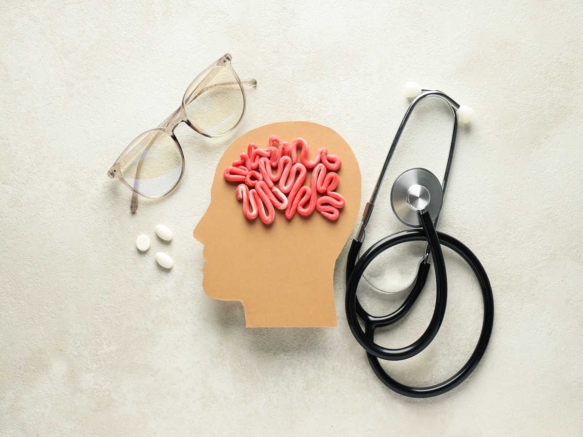Brain Aging: How Gene Links Diet, Neurons And Longevity - Vimarsana News