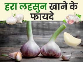 लहसुन की हरी पत्तियों में छुपा है कई बीमारियों का इलाज, इसे खाने के फायदे भी हैं अनगिनत लहसुन की हरी पत्तियों में छुपा है कई बीमारियों का इलाज, इसे खाने के फायदे भी हैं अनगिनत