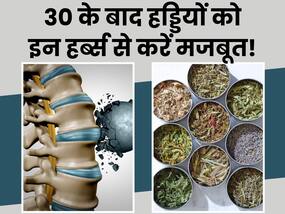 30 की उम्र में ही होने लगीं है जोड़ों में दर्द और हड्डियां कमजोर? इन हर्ब्स से करें इन्हें मजबूत 30 की उम्र में ही होने लगीं है जोड़ों में दर्द और हड्डियां कमजोर? इन हर्ब्स से करें इन्हें मजबूत