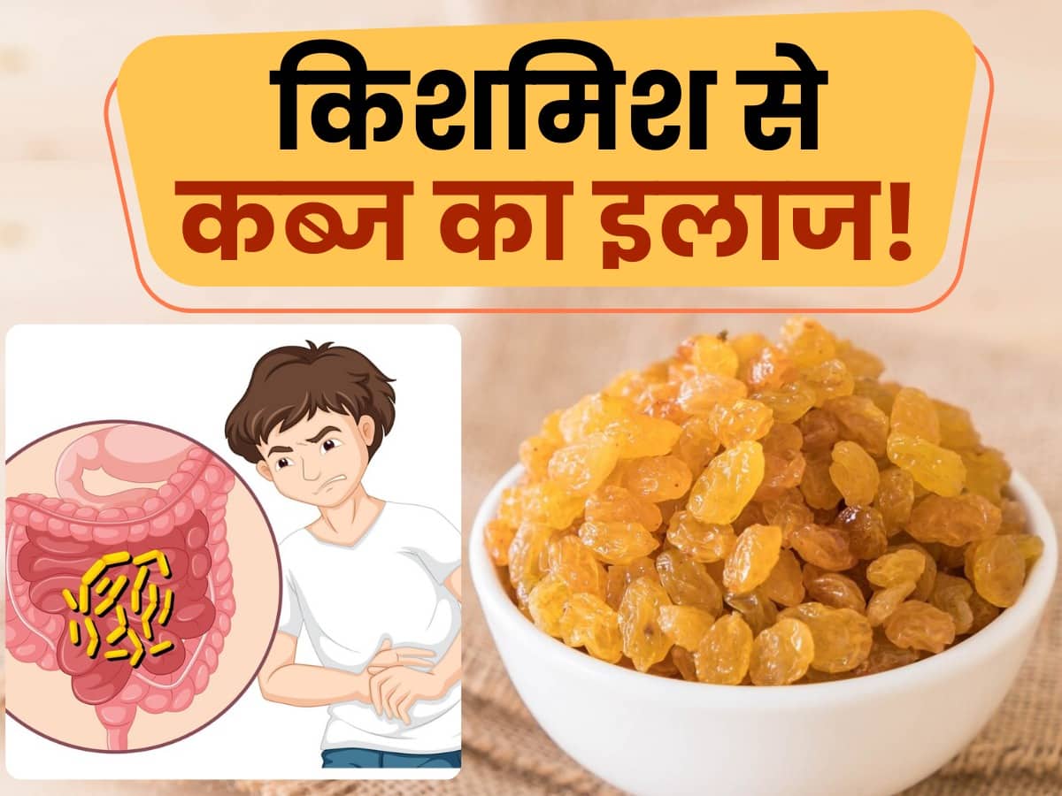 black raisins for constipation सुबह पेट साफ होने को आसान बनाती है ये किशमिश, जानिए किशमिश से