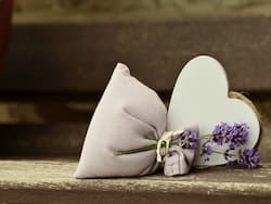 The Power Of Scent In Boosting Brain Function