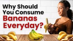 Bananas: What Will Happen if You Eat a Banana Daily?