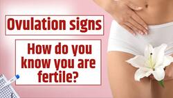 Ovulation Symptoms: Are You Ovulating? Physical Signs That You Are Fertile