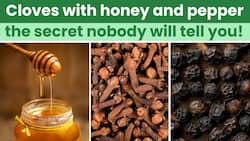 Winter Diet: Benefits of Eating Cloves and Black Pepper With Honey in Winter | The Health Site