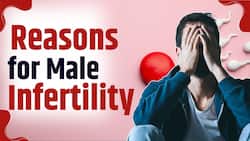 Infertility in Men: What causes low sperm count and how to improve sperm health?