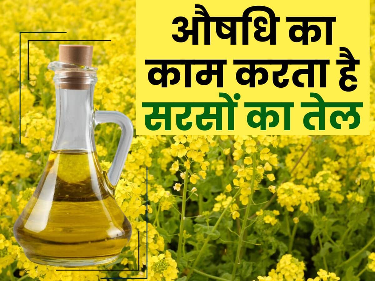 mustard oil uses in winter आयुर्वेदिक औषधि है सरसों का तेल! बीमारियों