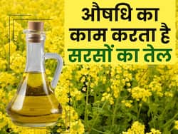 आयुर्वेदिक औषधि है सरसों का तेल! बीमारियों को करता है दूर; जानिए सर्दियों में सरसों तेल का इस्तेमाल करने का तरीका