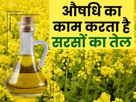 आयुर्वेदिक औषधि है सरसों का तेल! बीमारियों को करता है दूर; जानिए सर्दियों में सरसों तेल का इस्तेमाल करने का तरीका
