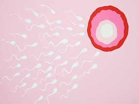 What To Expect In A Fertility Consultation: Expert's Insights