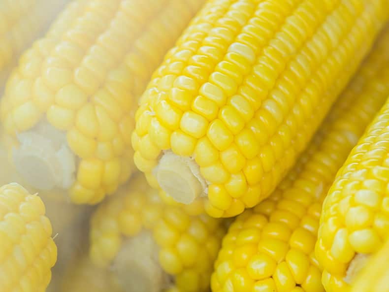 5 Dangerous Food Toxins You Must Avoid For The Sake Of Your Health