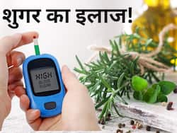 जड़ से खत्म हो जाएगी डायबिटीज, इन 3 जड़ी-बूटियों में छिपा है शुगर का इलाज