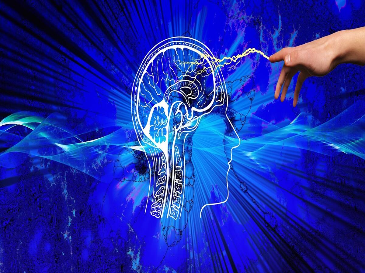 Parkinson's Disease: Protein Linking Neurodegenerative Diseases And Neuronal Communication - Vimarsana News