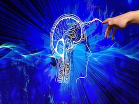 Parkinson's Disease: Protein Linking Neurodegenerative Diseases And Neuronal Communication