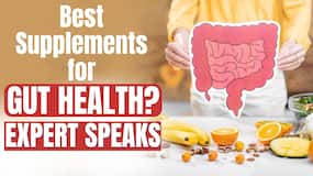 Supplements for Gut Health: What is the best supplement for gut health?