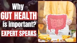 How Your Gut Health Affects Your Whole Body? Expert Speaks