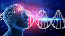 International Epilepsy Day 2024: Busting 5 Common Myths About Epilepsy