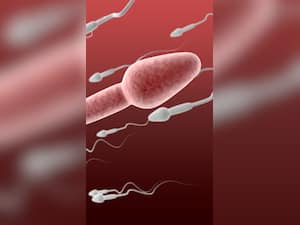 8 Foods To Increase Your Sperm Count Instantly