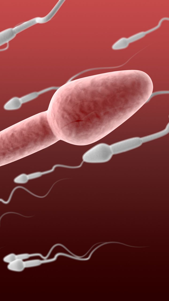 8 Foods To Increase Your Sperm Count Instantly