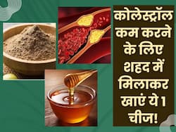 सुबह खाली पेट शहद के साथ खाएं ये 1 चीज, नसों में जमा बैड कोलेस्ट्रॉल निकल जाएगा बाहर