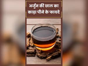 अर्जुन की छाल का काढ़ा पीने के 8 फायदे