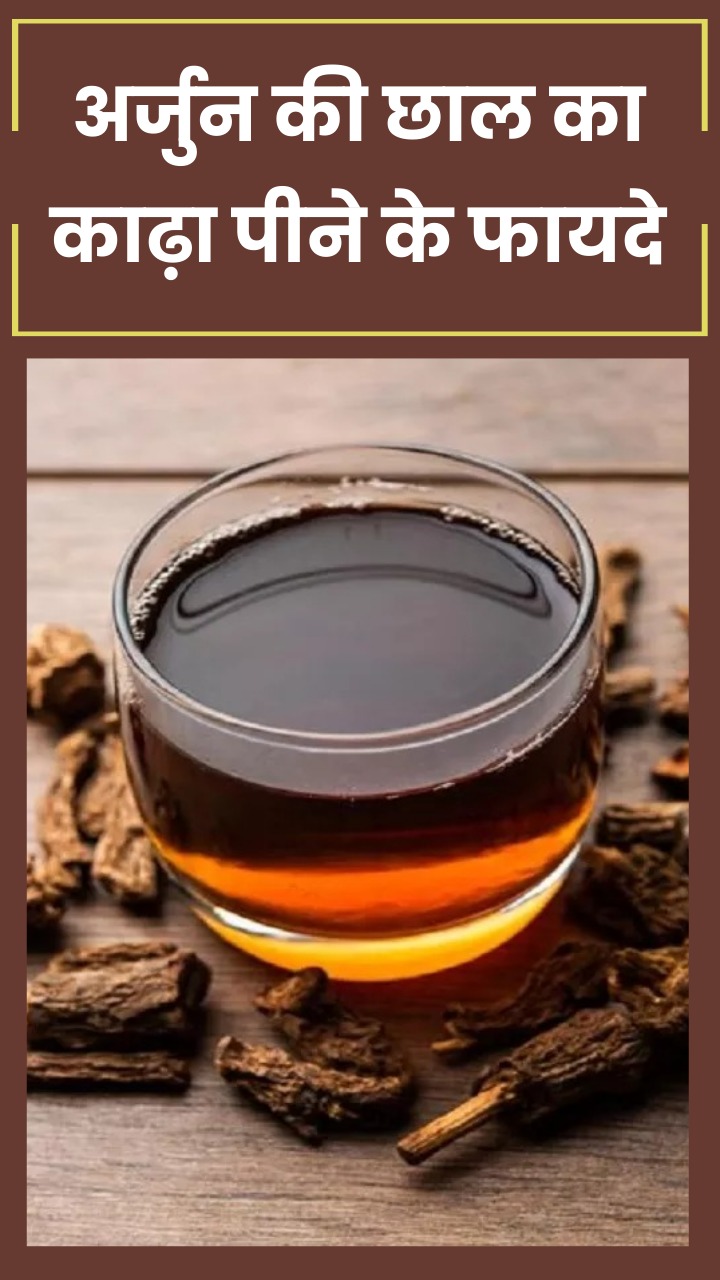 अर्जुन की छाल का काढ़ा पीने के 8 फायदे