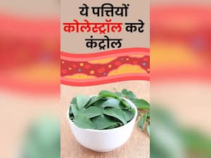खराब कोलेट्रॉल को पिघलाकर बाहर फेंक देंगी ये 7 पत्तियां