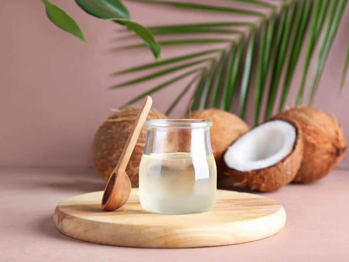 Coconut Oil On Empty Stomach 7 Amazing Health Benefits of Starting Your Day With Nariyal Tel