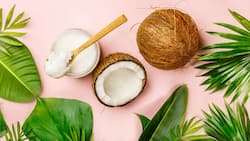 5 Reasons Why Coconut Oil Is A Healthy Remedy For Weight Loss