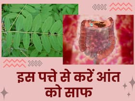 आंतों के हर एक कोने-कोने से गंदगी को निकाल फेकेगा ये एक हरे रंग का पत्ता, बस करना होगा इस तरह इस्तेमाल आंतों के हर एक कोने-कोने से गंदगी को निकाल फेकेगा ये एक हरे रंग का पत्ता, बस करना होगा इस तरह इस्तेमाल