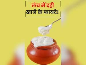 लंच में रोज खाएं दही, सेहत को मिलते हैं ये 5 जबरदस्त लाभ