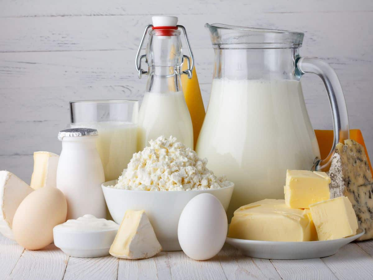 Dairy Products Calcium For Increasing Height Top 7 Superfoods