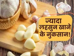 ज्यादा लहसुन का सेवन करना भी है खतरनाक, इन रोगों का बढ़ जाता है खतरा