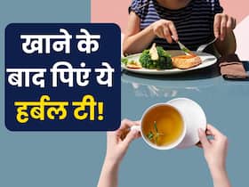 खाने के बाद पिएं ये 5 तरह के हर्बल ड्रिंक्स, पेट में गैस और अपच से मिल जाएगी मुक्ति खाने के बाद पिएं ये 5 तरह के हर्बल ड्रिंक्स, पेट में गैस और अपच से मिल जाएगी मुक्ति