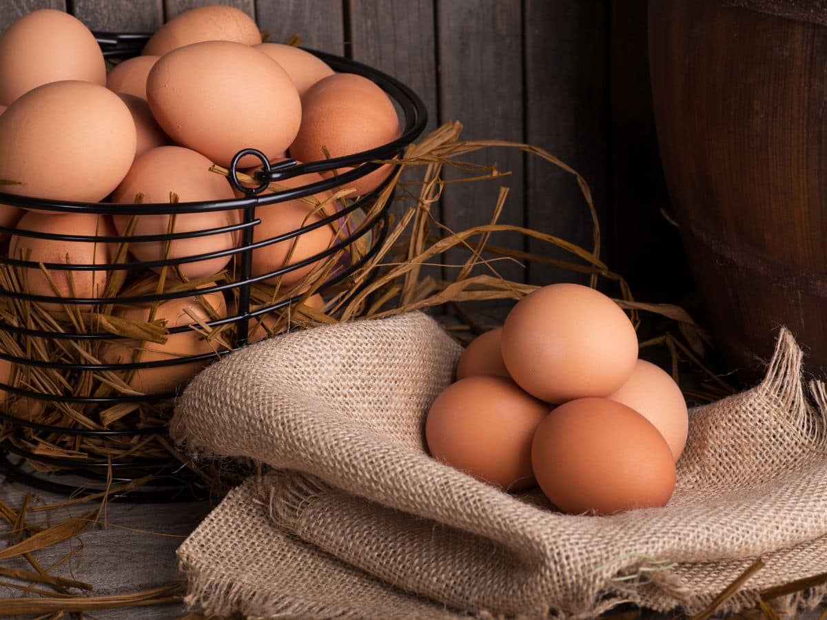 Eggs For Increasing Height Top 7 Superfoods For Children To