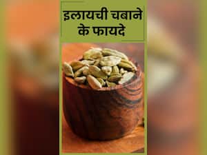 खाली पेट रोजाना 2 इलायची चबाने के फायदे