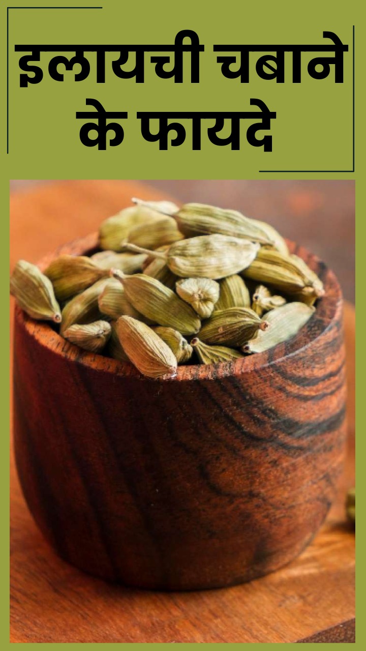 खाली पेट रोजाना 2 इलायची चबाने के फायदे