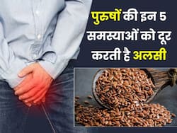 पुरुषों के लिए बहुत फायदेमंद है अलसी के बीज, इन 5 समस्याओं को कर सकते हैं दूर