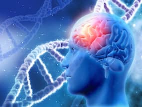 These 6 Foods Support The Nervous System; Check It Out