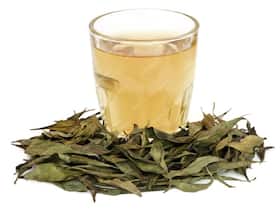 Six Reasons That Make The Bitter Chirata Plant Super Healthy