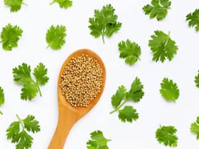 Healthy Sipping: This Super Seed Can Offer Relief From UTI