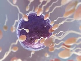 What Makes Sperm Banking A 'Strategic Resource'?