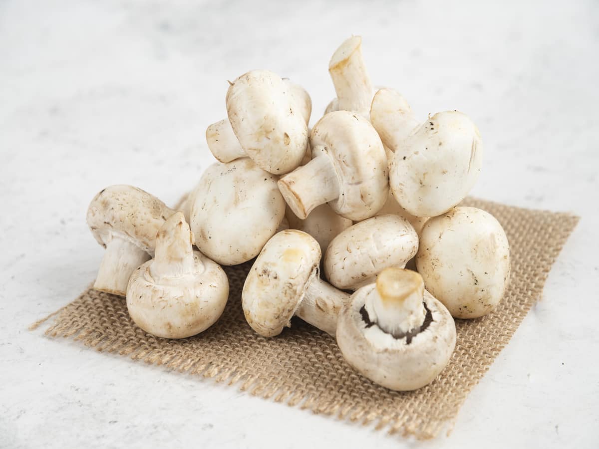 Can Mushrooms Lower Cholesterol? Here Are Some Quick Facts
