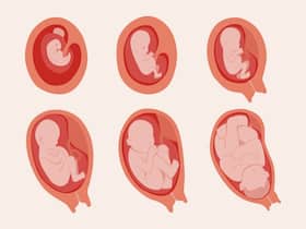Pregnancy 101: How Do Babies Breathe In The Womb?