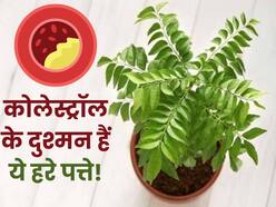 Bad cholesterol का पूरी तरह सफाया कर सकते हैं ये 5 हरे पत्ते, बस जान लें सेवन का सही तरीका