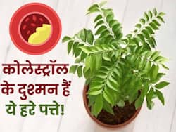 Bad cholesterol का पूरी तरह सफाया कर सकते हैं ये 5 हरे पत्ते, बस जान लें सेवन का सही तरीका