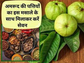अमरूद के पत्तों के साथ किचन के इस मसाले का करें इस्तेमाल, डायबिटीज से लेकर मोटापा हो जाएगा कम
